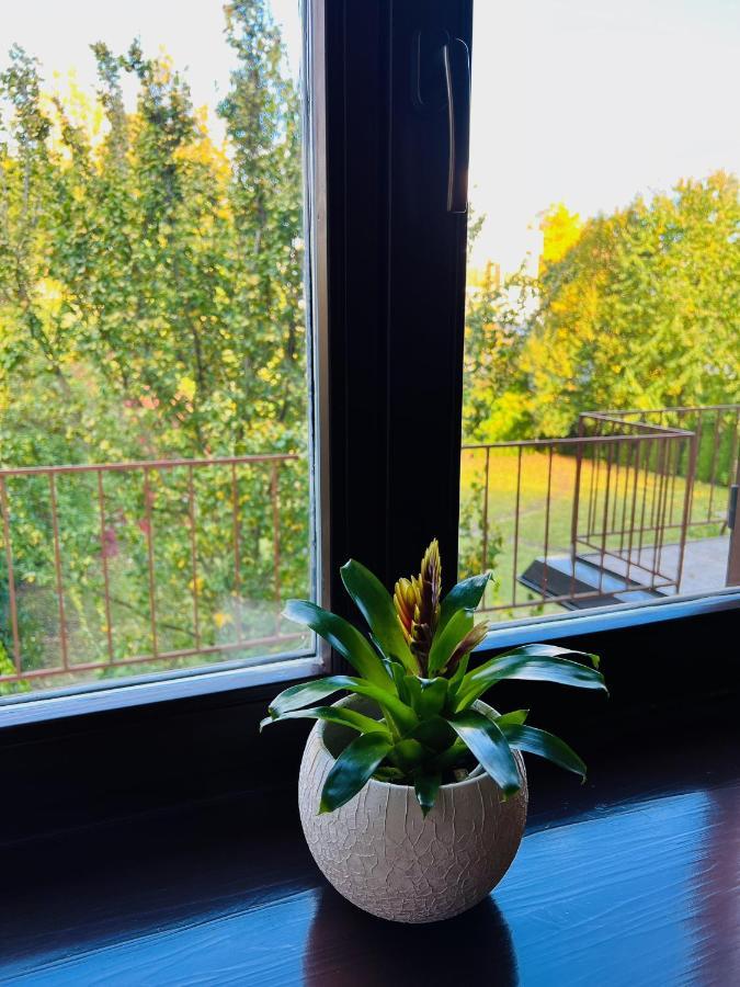 Penzion Villa Ancora Šumperk 部屋 写真