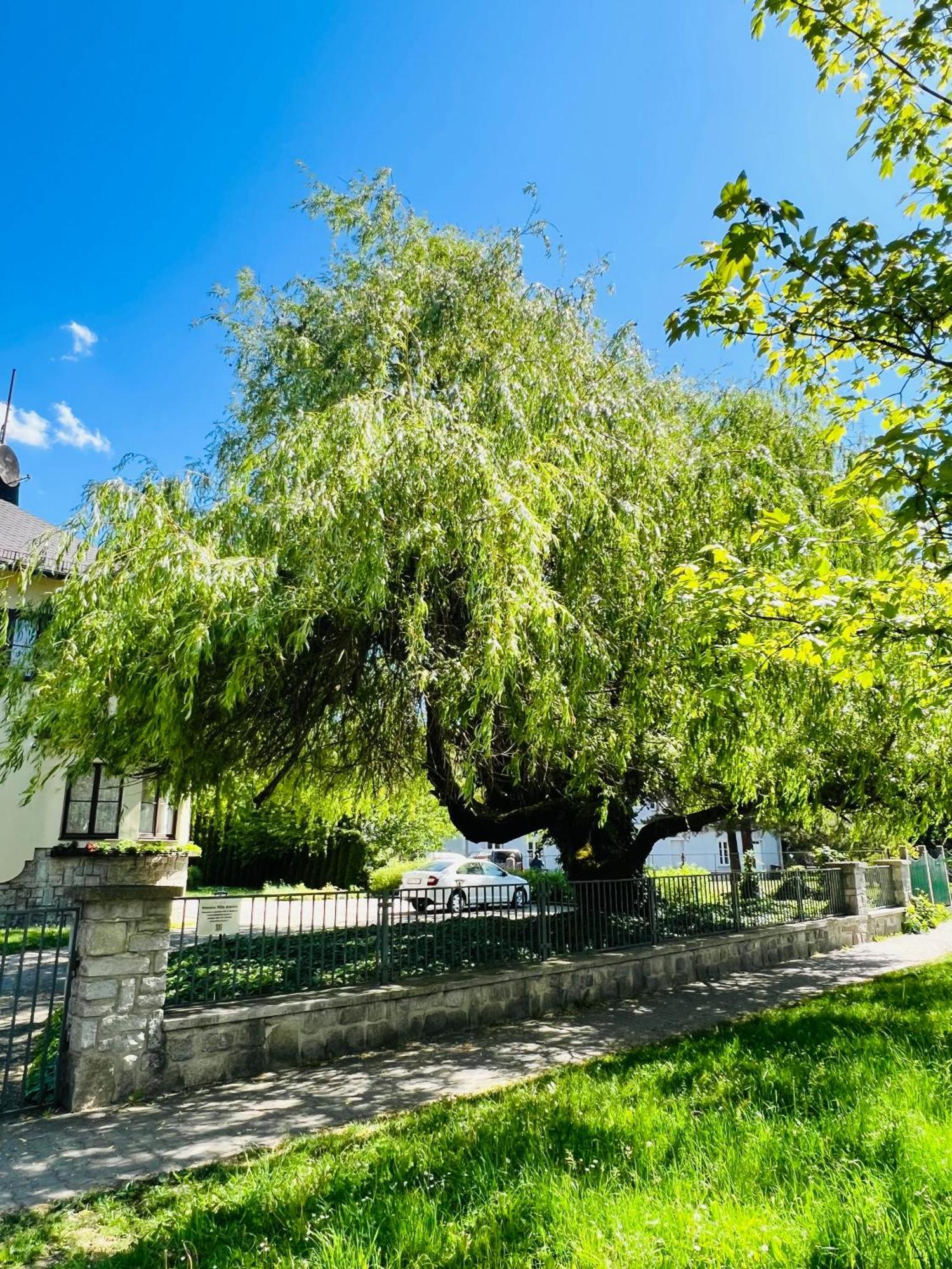 Penzion Villa Ancora Šumperk エクステリア 写真