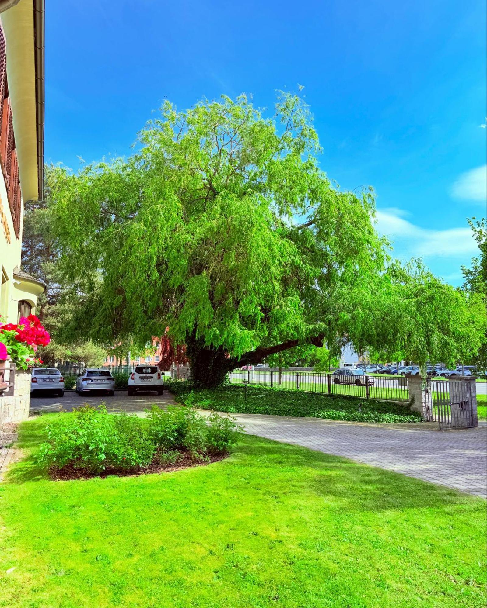 Penzion Villa Ancora Šumperk エクステリア 写真